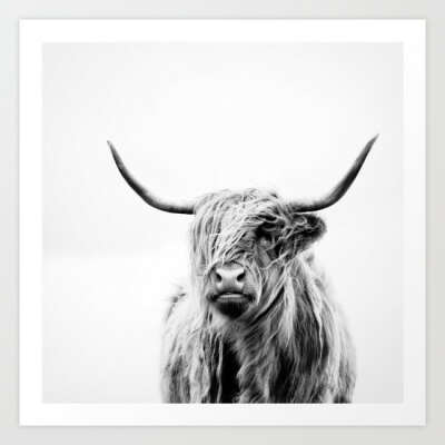 portrait of a highland cow Art Print by Dorit Fuhg