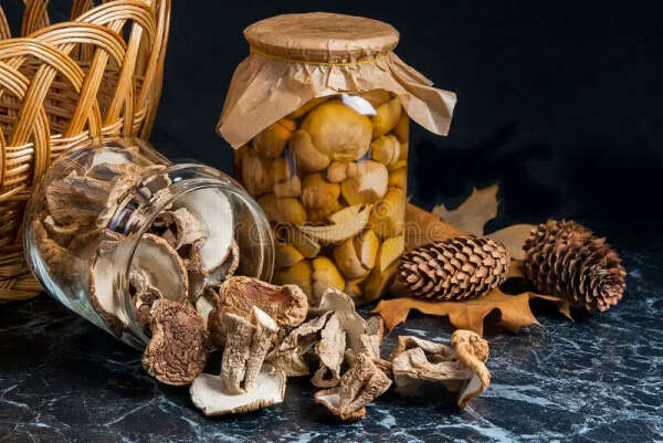 Домашние соленые и сушеные грибы