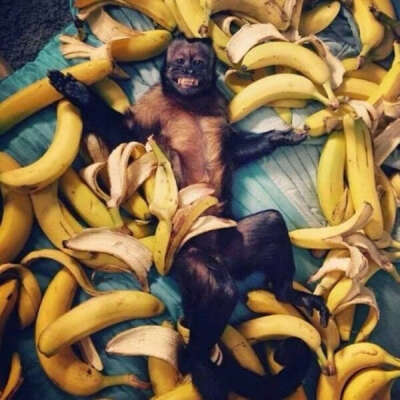 чтоб всегда были бананы