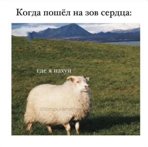 Внезапные штуки