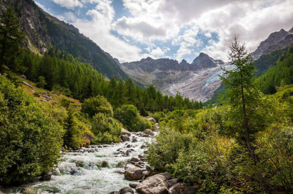 Tour du Mont Blanc