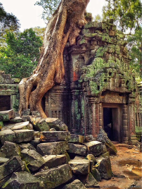 Храм Та Прум (Камбоджа)