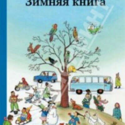 Зимняя книга