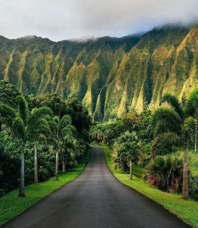 Путешествие на Гавайи