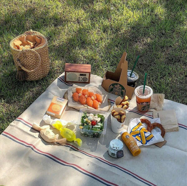 Пикник в парке (хлеб, сыры, хаммон, фрукты, кофе, цветы)
