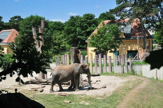 Zoo in Vienna