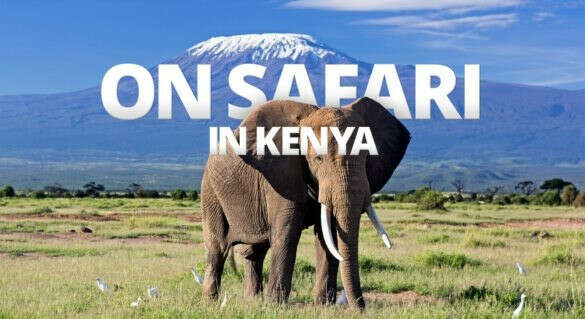 Safari in Kenya