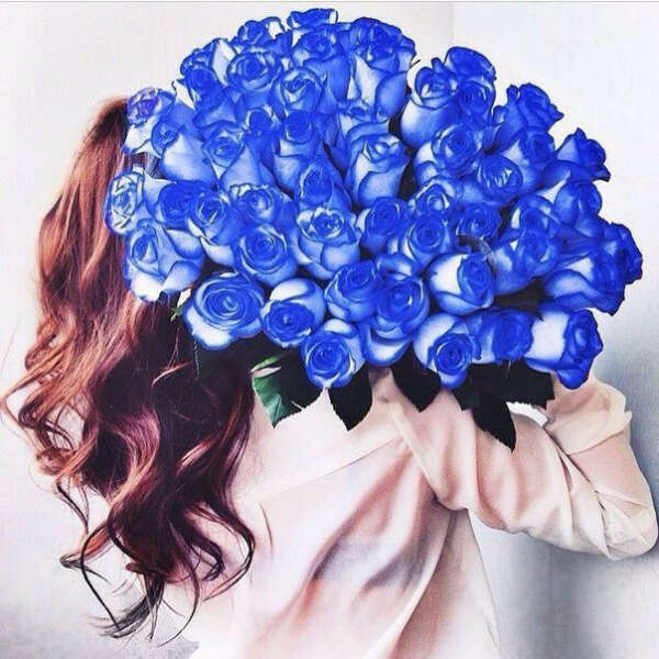 Хочу букет синих роз!