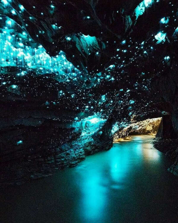 Пещеры светлячков: Вайтомо. Новая Зеландия 🇳🇿