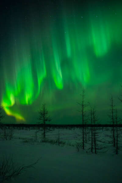 Наслаждаться Aurora Borealis