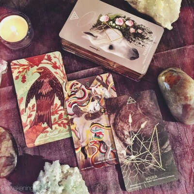 Cosmos Tarot&Oracle