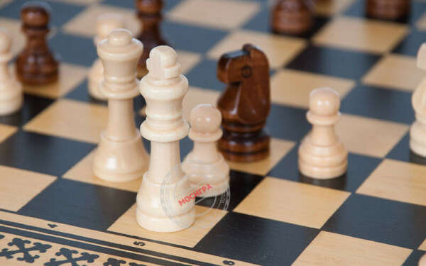 Шахматы. шашки, нарды