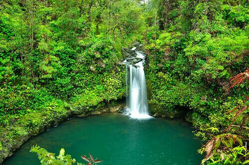 Visit Hana, Maui