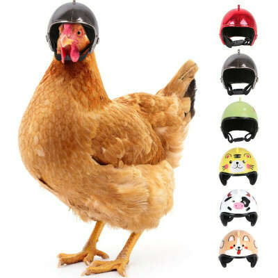 Шлем для курицы