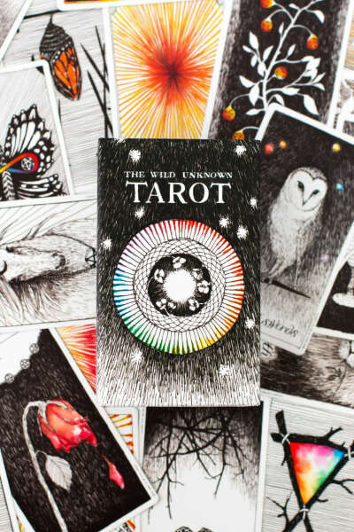 The Wild Unknown tarot