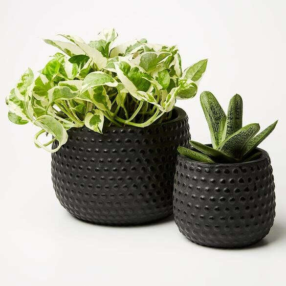 Jones & Co Planters- Hobnail Pot Set-Charcoal