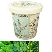 Набор для выращивания Aroma Herb (разные травы) / Мята и базилик