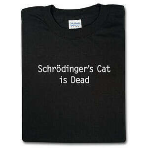 DOES SCHRÖDINGER&#039;S CAT LIVE?