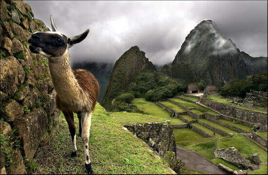 Поехать в Перу