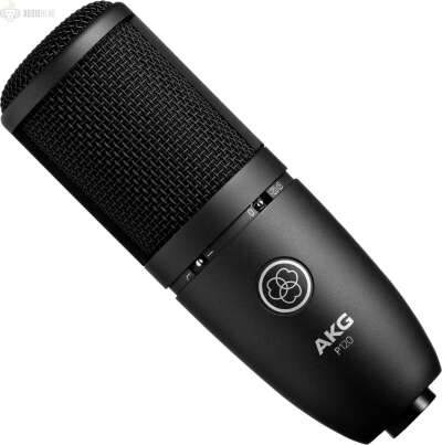 AKG P120