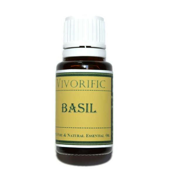 Basil Essential Oil | Vivorific Health