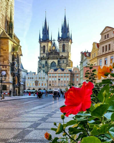 Чехия 🇨🇿 (Прага)