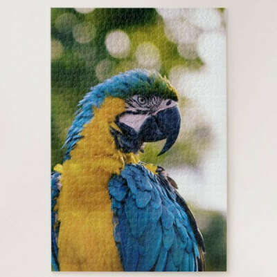 Yellow and Blue Macaw jigsaw puzzle