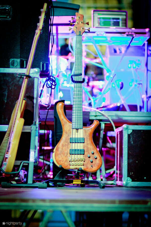 Bass guitar