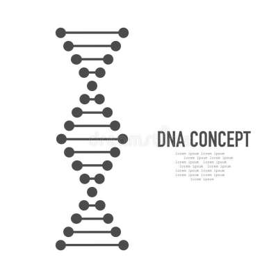 Тест ДНК на национальность и происхождение рода