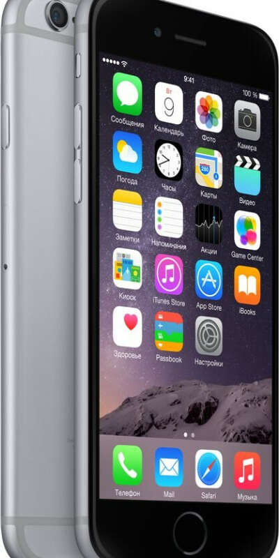 Apple iPhone 6 16GB (серый космос)