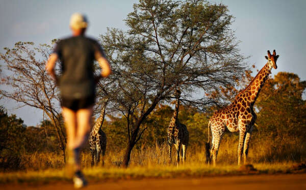 Big Five Marathon