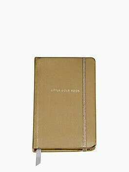 Take Note little gold book medium notebook