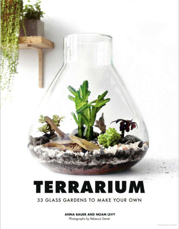 Terrarium book