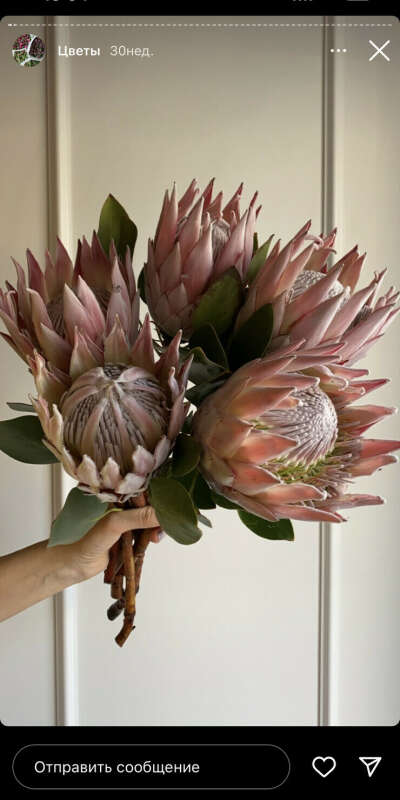 Букет из privet bouquet из необычных и красивых цветочков