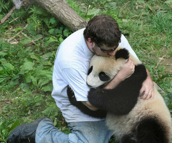 Обнять панду и других животных