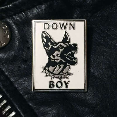 DOWN BOY dog pin