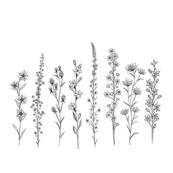 Floral Line Tatoo (ragweed)