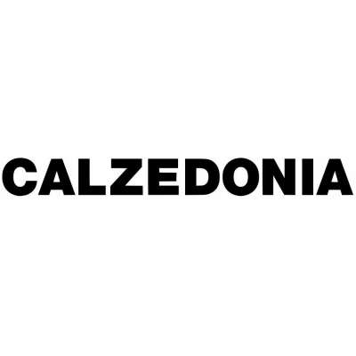 подарочный сертификат в calzedonia