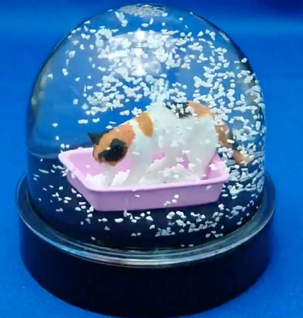 снежный шар кот в лотке