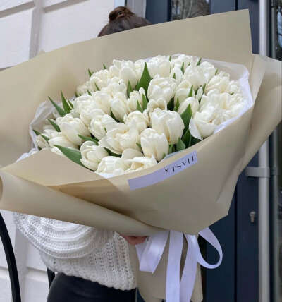 белые тюльпаны 💔