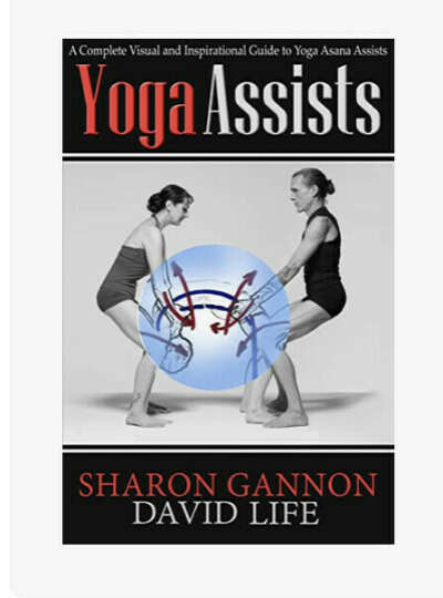Книга Yoga Assist Шэрон Гэннон и Девид Лайф