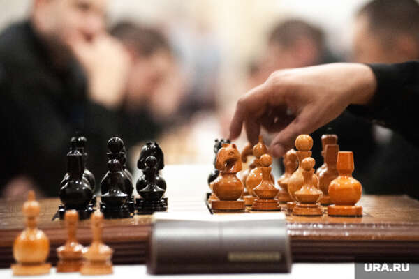 Урок по шахматам в живую (не онлайн!)