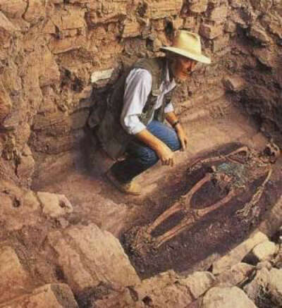 Стать археологом