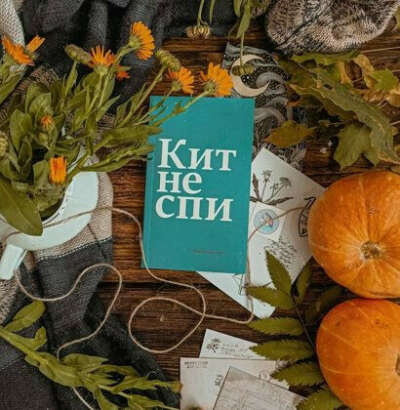 Книга "Кит не спи"