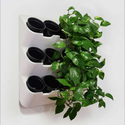 Фитомодуль "BOXSAND 12" (60х65 см) вместимость 12 растений, цвет белый в комплекте с черными горшками 1 литр