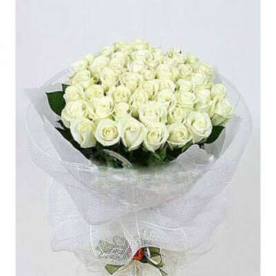 60 white roses bunch
