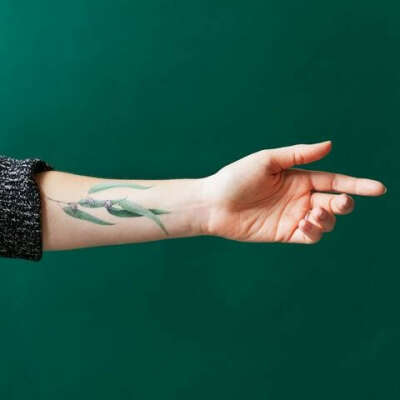 Tattly™  Designy Temporary Tattoos. — Tattly Temporary Tattoos