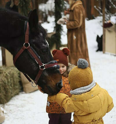 Знакомство с фермой FEW HORSES