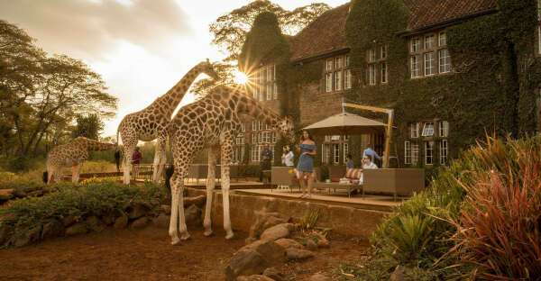 Остановиться в  Giraffe Manor