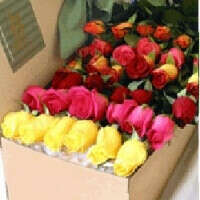 Box Of roses | FLOWER DELIVERY PH